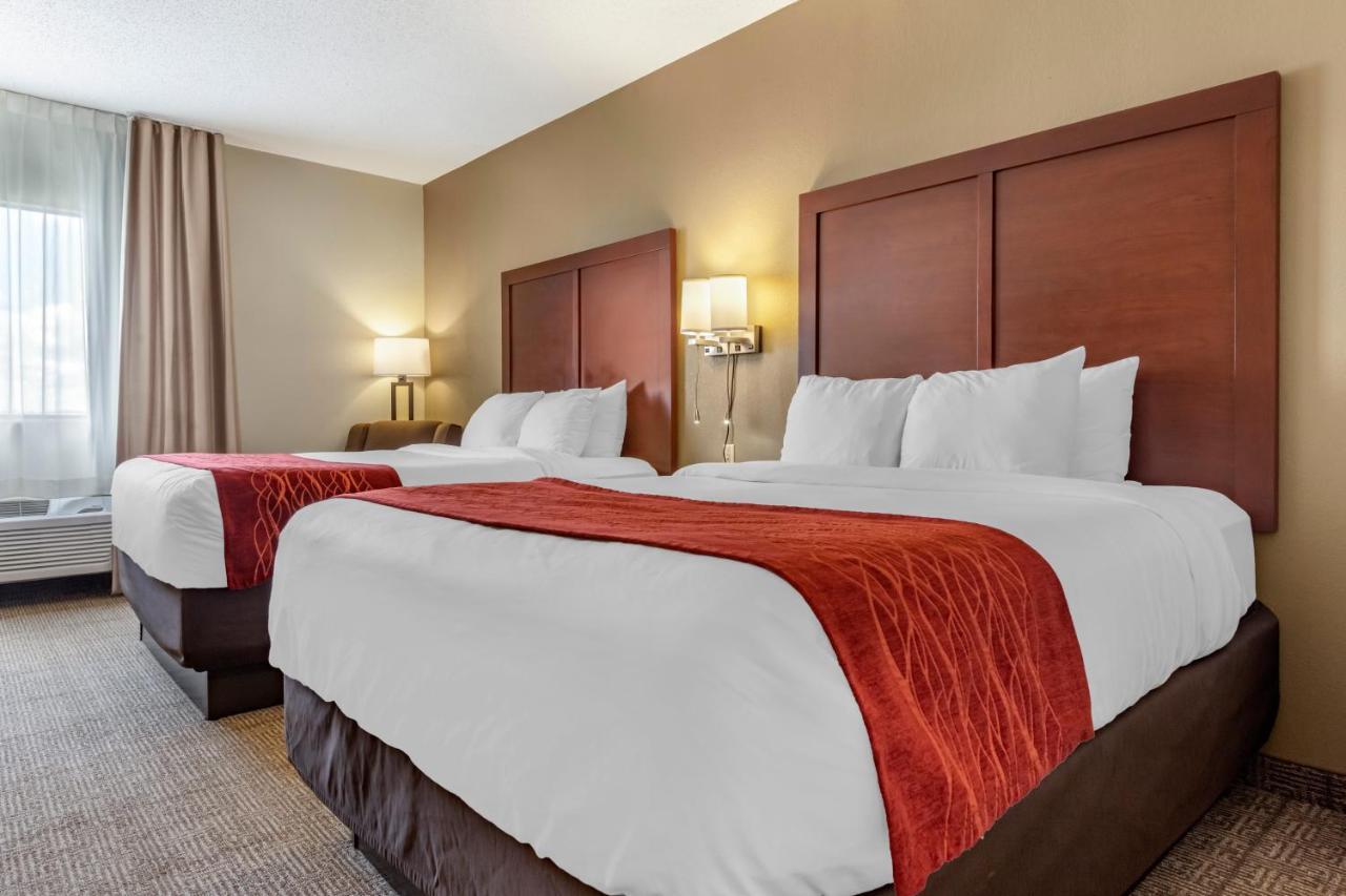Comfort Inn & Suites Streetsboro - Kent Εξωτερικό φωτογραφία